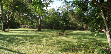 Ihr Garten